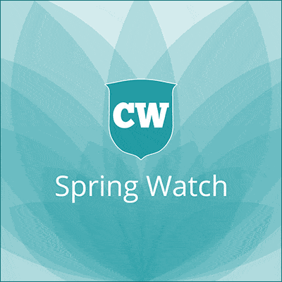 spring watch